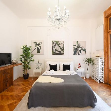 Vintage Elegance, Modern Comfort: 1Br Apartment Overlooking Calea Victoriei Bukurešť Exteriér fotografie