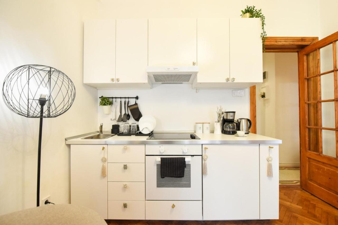 Vintage Elegance, Modern Comfort: 1Br Apartment Overlooking Calea Victoriei Bukurešť Exteriér fotografie