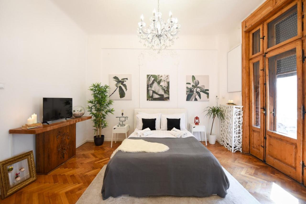 Vintage Elegance, Modern Comfort: 1Br Apartment Overlooking Calea Victoriei Bukurešť Exteriér fotografie